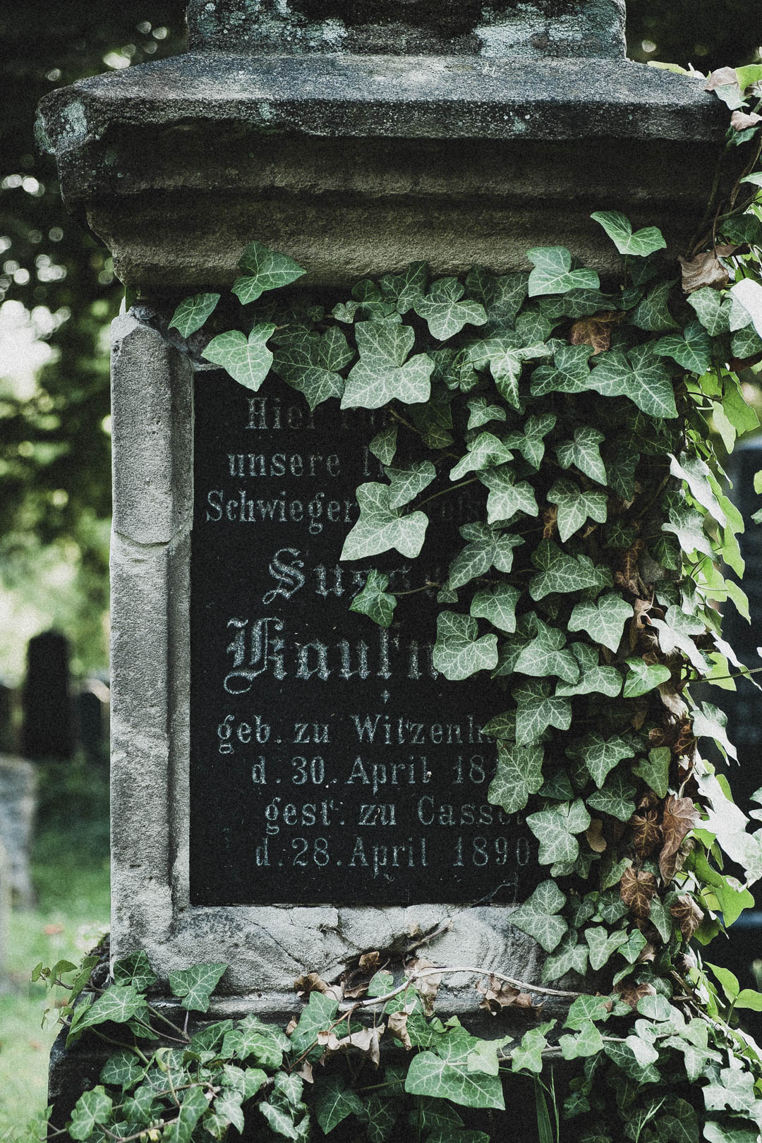 Jüdischer Friedhof Kassel-Bettenhausen